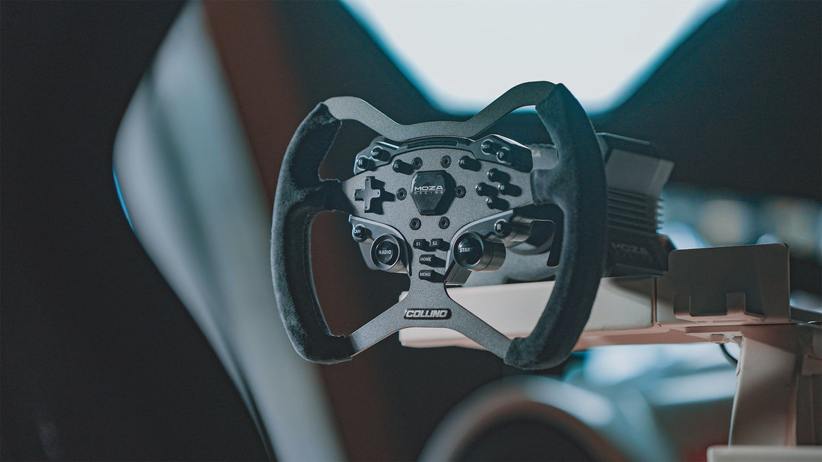 Sim Racing Wheels
