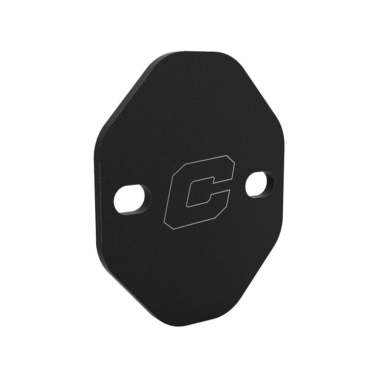 FUEL PUMP BLOCK-OFF PLATE – CHEVROLET / FORD