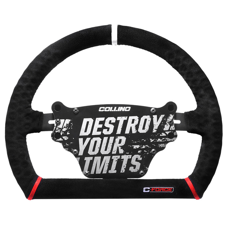 PROTO 23 R STEERING WHEEL + CONTROL BOX