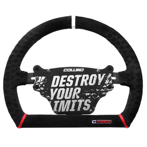 PROTO 23 R STEERING WHEEL + CONTROL BOX