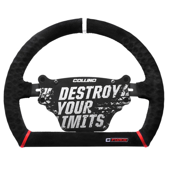 PROTO 23 R STEERING WHEEL + CONTROL BOX