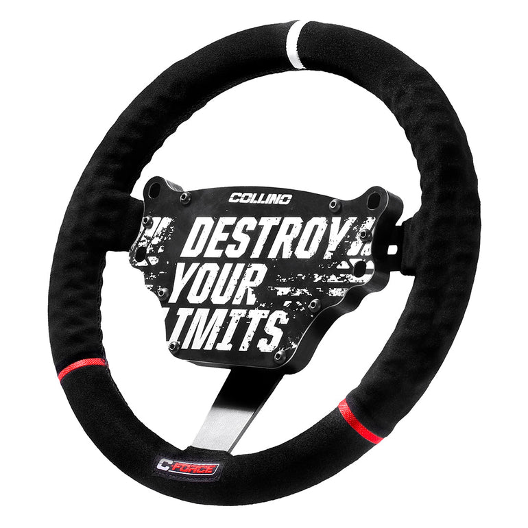 PROTO 23 R STEERING WHEEL + CONTROL BOX